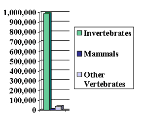 Invertebrates Graph